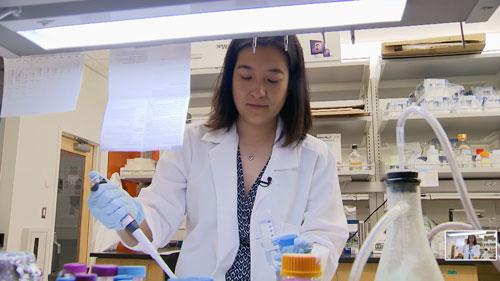 Dr. Jennifer Chao